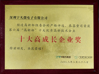 十大高成長企業(yè)獎(jiǎng)