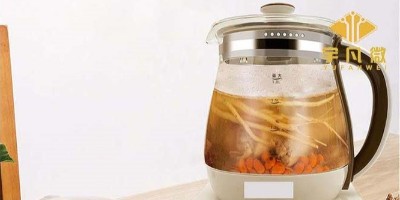 多功能養(yǎng)生壺方案開發(fā)