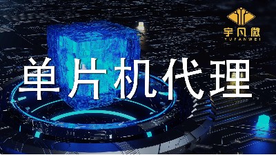 深圳哪家單片機(jī)代理商專業(yè)且有品質(zhì)保障?