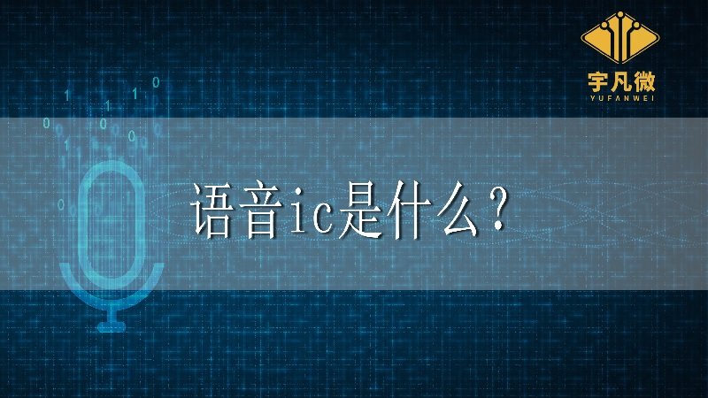 語音ic是什么？