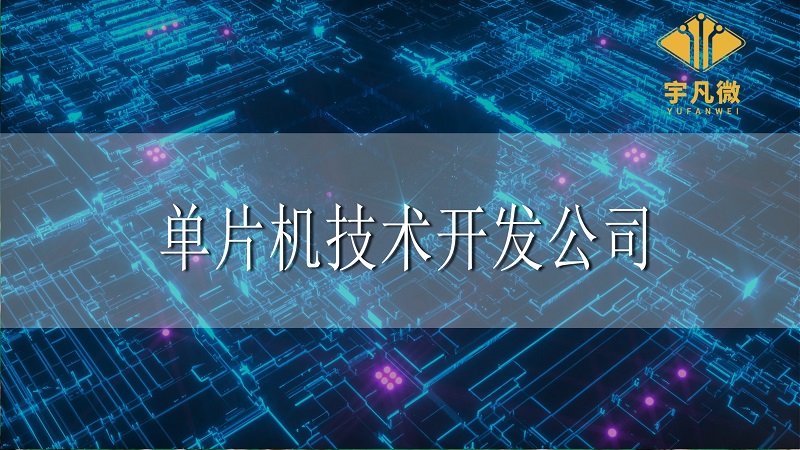 單片機(jī)技術(shù)開發(fā)公司和生產(chǎn)商的區(qū)別