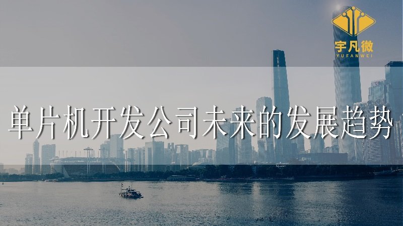 單片機(jī)開發(fā)公司未來的發(fā)展趨勢(shì)