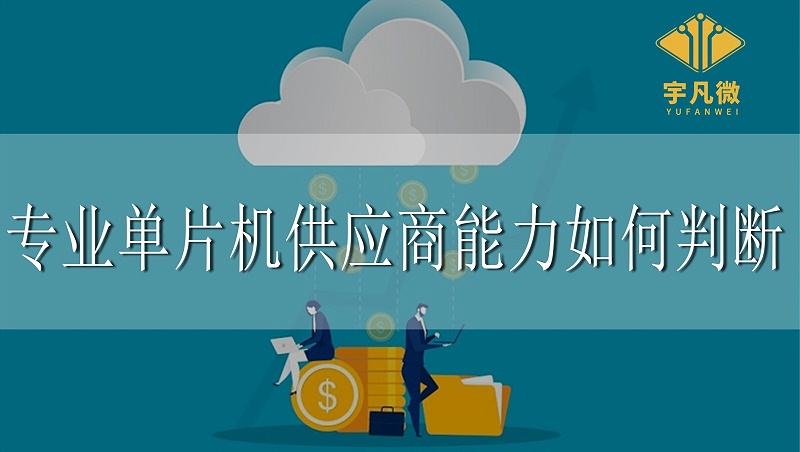 專業(yè)單片機供應商能力如何判斷