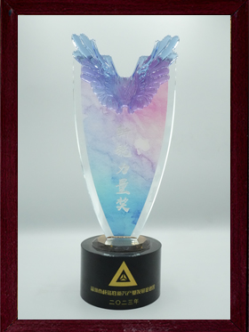 深圳市戰(zhàn)略性新興產(chǎn)業(yè)發(fā)展促進會新銳力量獎