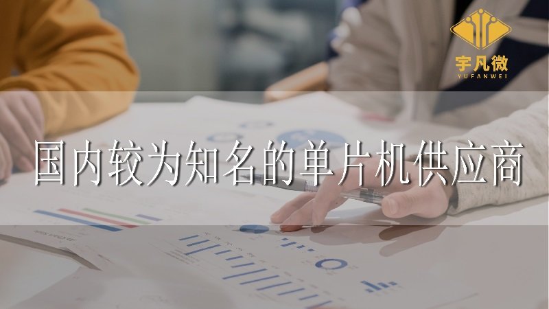 國內較為知名的單片機供應商有哪些
