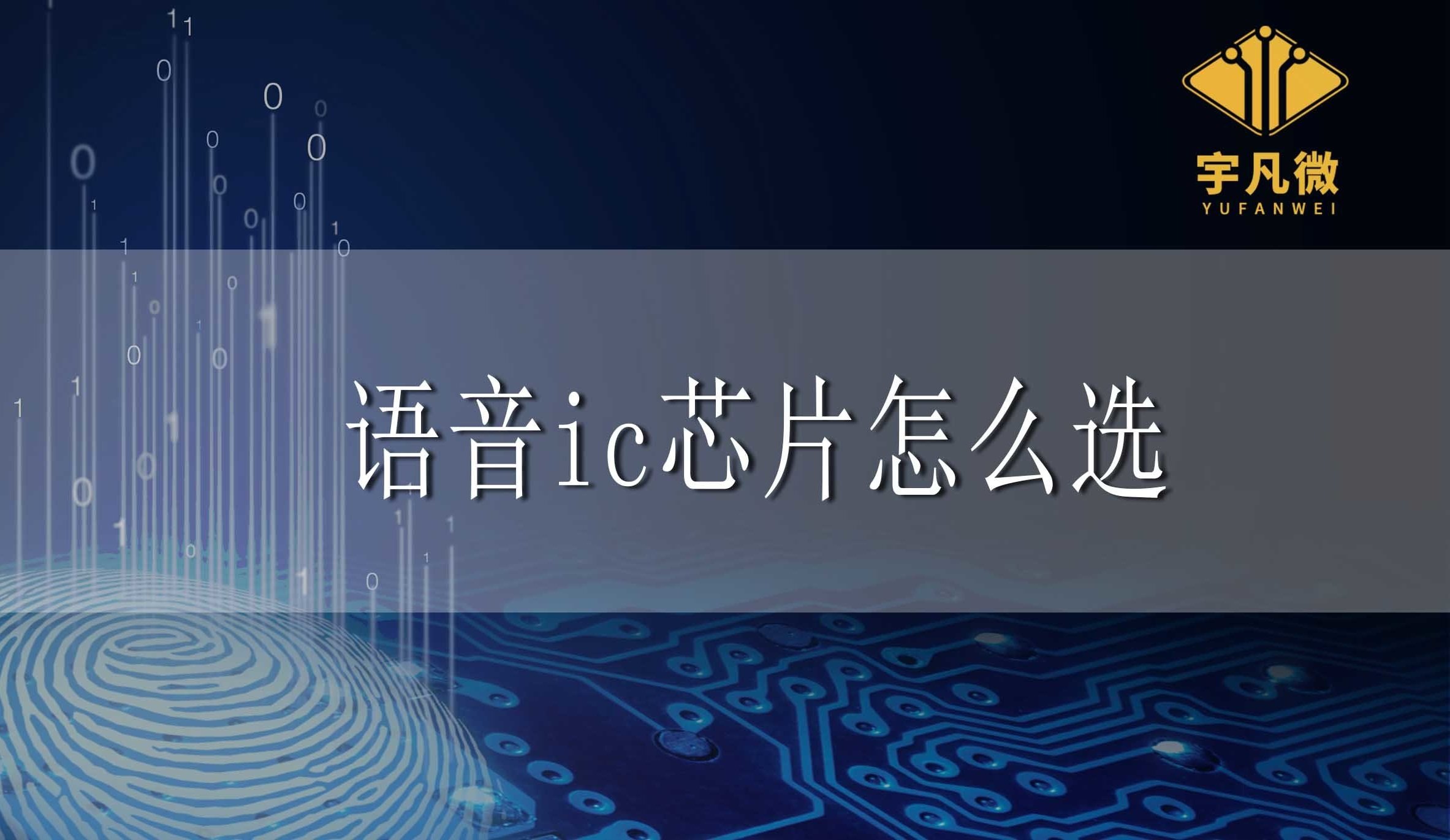語音ic芯片怎么選？
